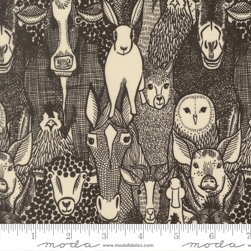 The Hen House - 48431-20