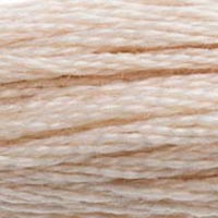 543 - SHELL - DMC STRANDED EMBROIDERY THREAD