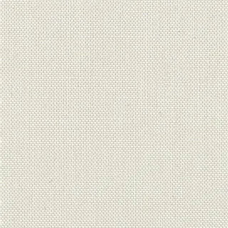 DEVONSTONE SOLID - STONE FOSSIL