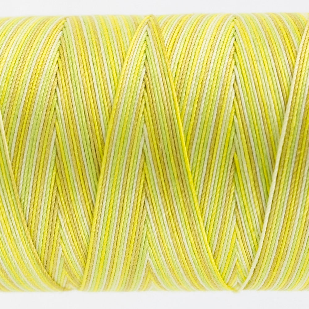 FT03 - CITRUS - FRUITTI - WONDERFIL