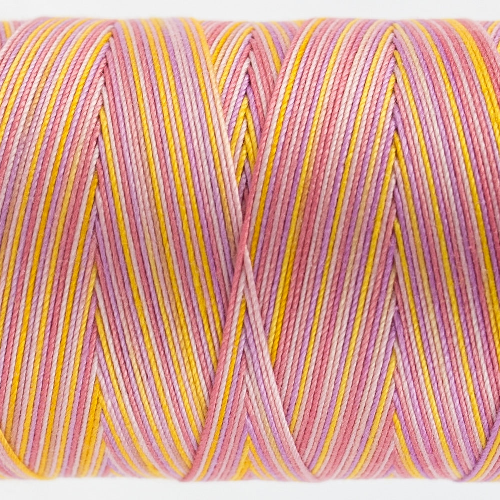 FT05- PANSY - FRUITTI - WONDERFIL