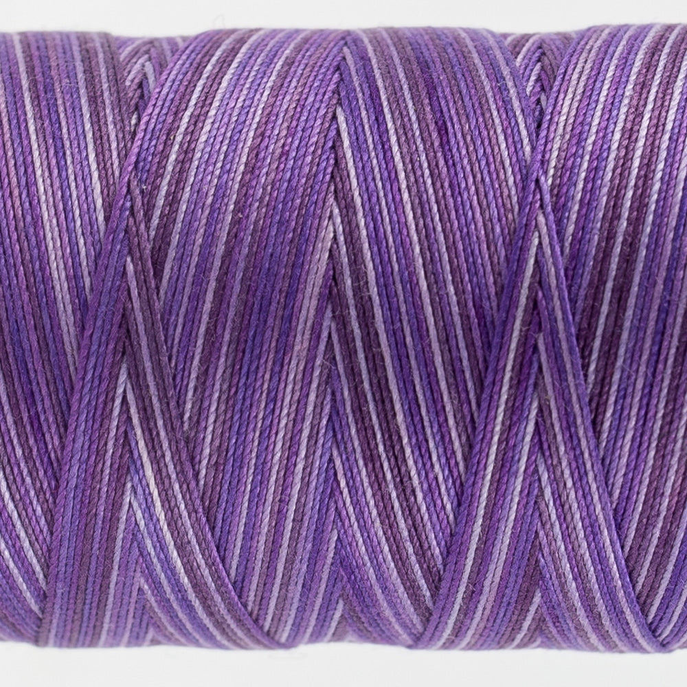 FT18 - BLUEBERRY - FRUITTI - WONDERFIL