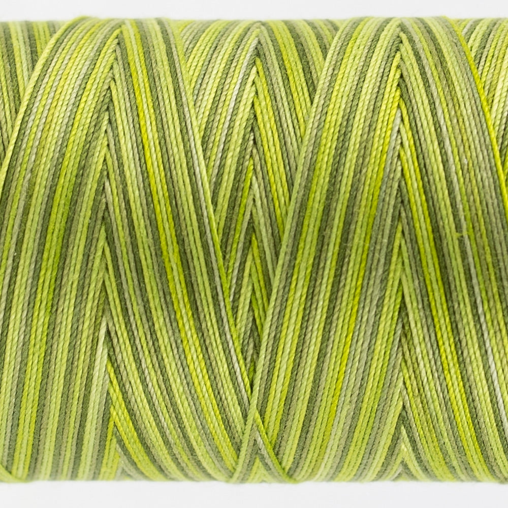 FT32 - MOSS - FRUITTI - WONDERFIL