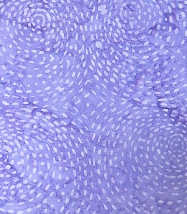 Batik - 2040