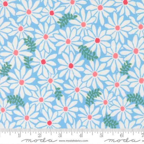 Reef Bloom Sky 27343 26