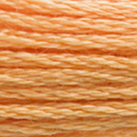 3854 - CHAI SPICE - DMC STRANDED EMBROIDERY THREAD