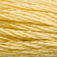 3822 - CORN HUSK - DMC STRANDED EMBROIDERY THREAD