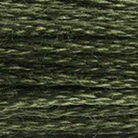 3051 - FOREST GREEN - DMC STRANDED EMBROIDERY THREAD
