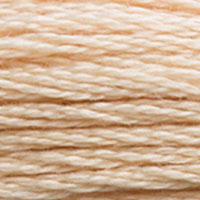 945 - CHAMPAGNE - DMC STRANDED EMBROIDERY THREAD