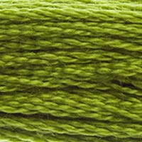 581 - GRASSHOPPER - DMC STRANDED EMBROIDERY THREAD