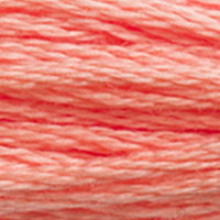 3341 - KITTENS NOSE - DMC STRANDED EMBROIDERY THREAD