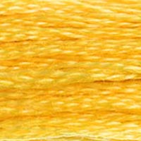 725 - BUTTERCUP - DMC STRANDED EMBROIDERY THREAD