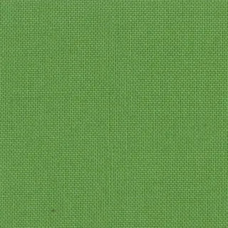 DEVONSTONE SOLID - CROCODILE GREEN