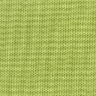 DEVONSTONE SOLID - LT GREEN