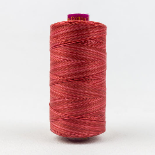 FT12 - STRAWBERRY - FRUITTI - WONDERFIL