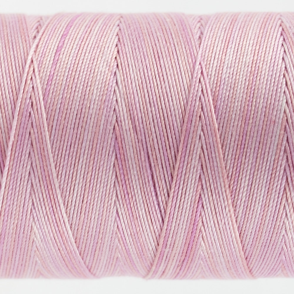 FT15 - CARNATION - FRUITTI - WONDERFIL