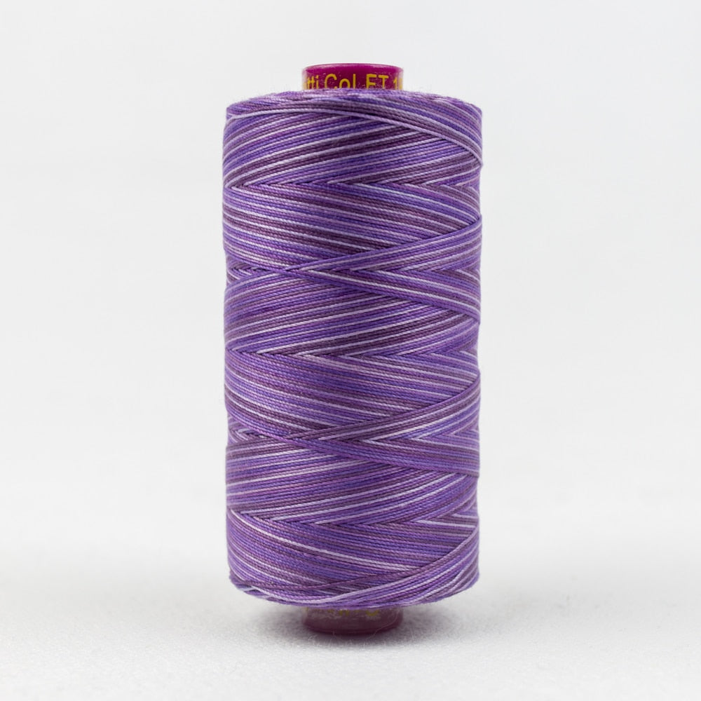 FT18 - BLUEBERRY - FRUITTI - WONDERFIL