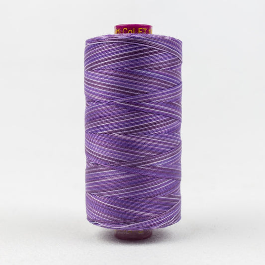 FT18 - BLUEBERRY - FRUITTI - WONDERFIL