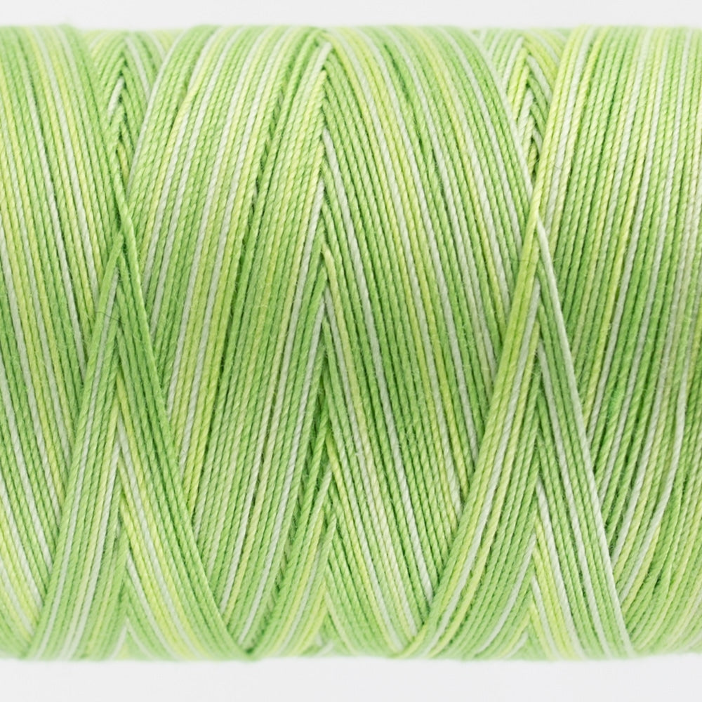 FT28 - LIME - FRUITTI - WONDERFIL