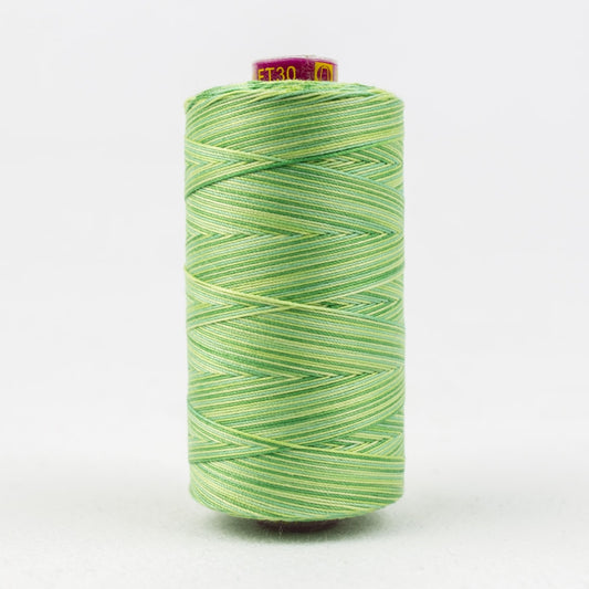 FT30 - LEAVES - FRUITTI - WONDERFIL