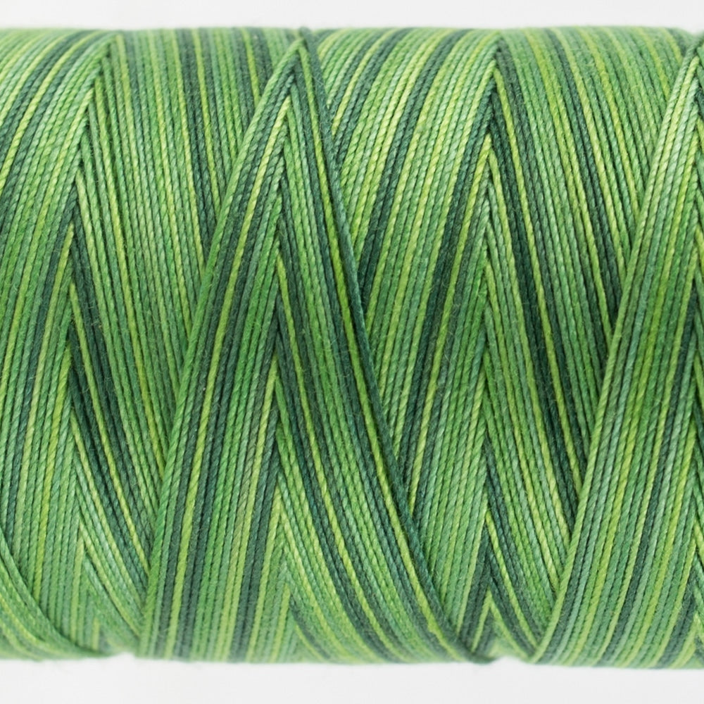 FT31 - EVERGREEN - FRUITTI - WONDERFIL
