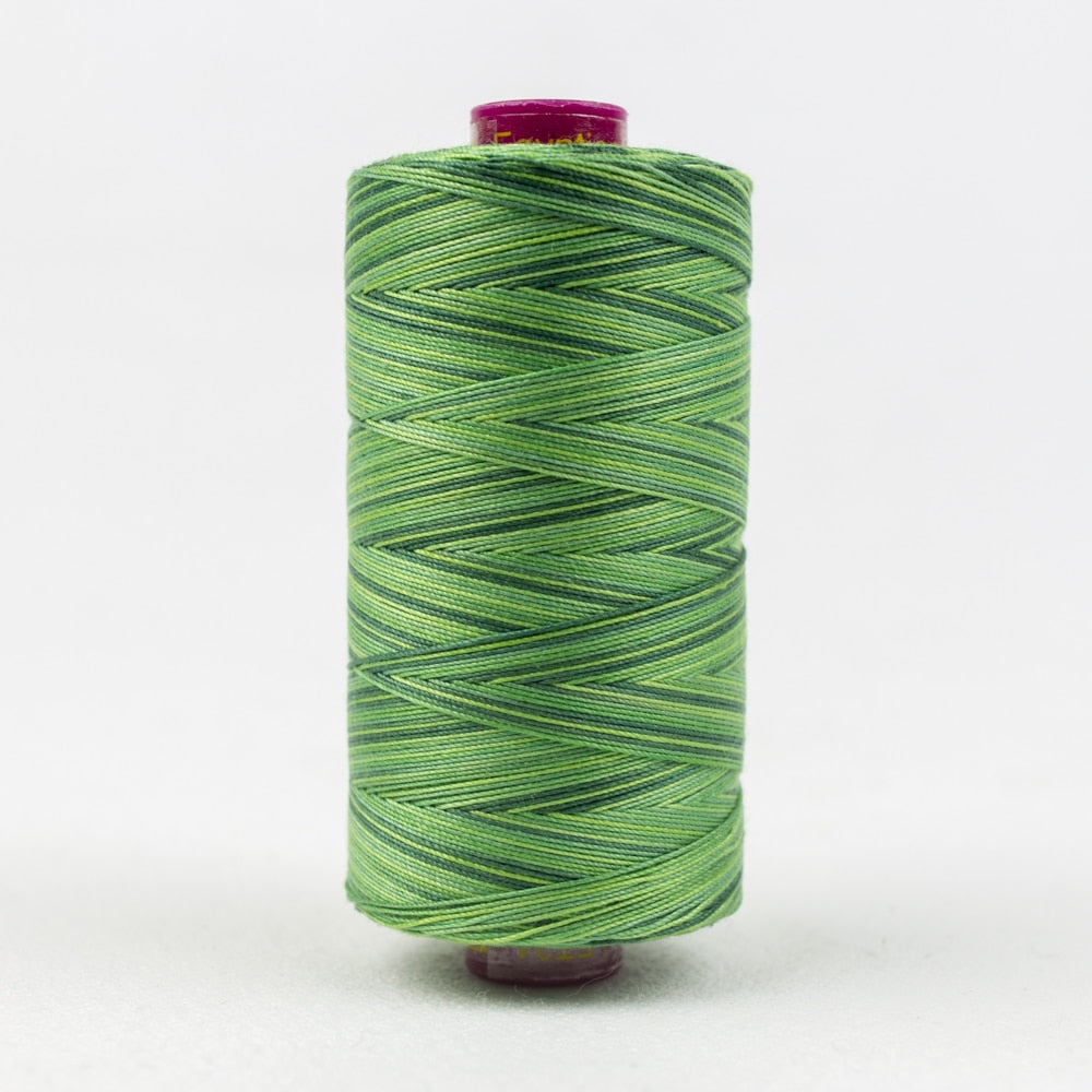 FT31 - EVERGREEN - FRUITTI - WONDERFIL