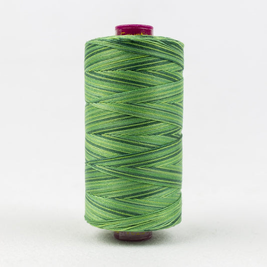 FT31 - EVERGREEN - FRUITTI - WONDERFIL