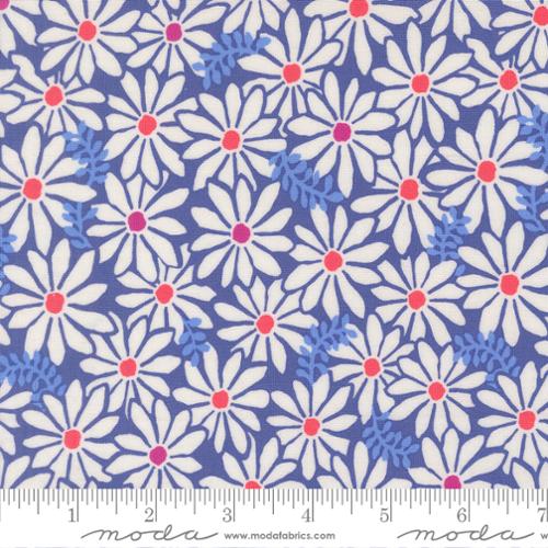 Reef Bloom Blue Whale - 27343 30