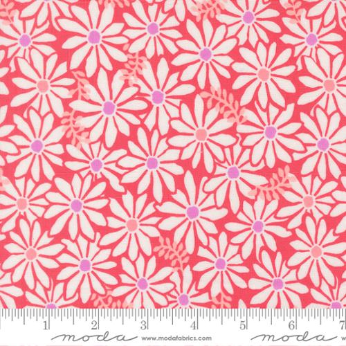 Reef Bloom Crab 27343 13