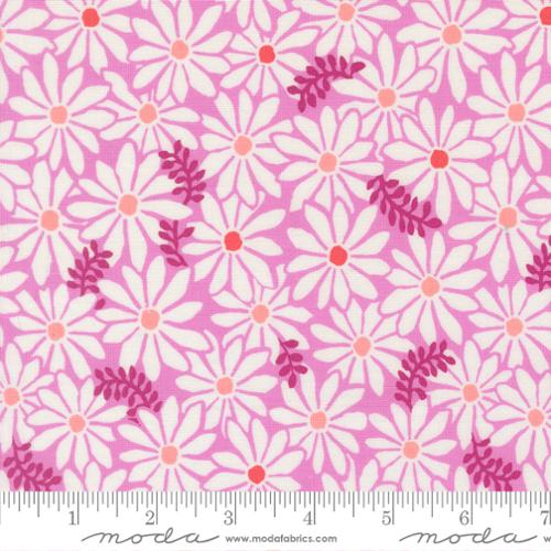 Reef Bloom Petal 27343 19