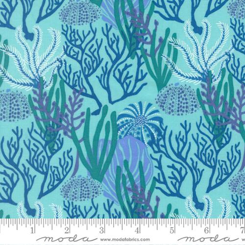 Reef Coral Reef Algae - 27341 24
