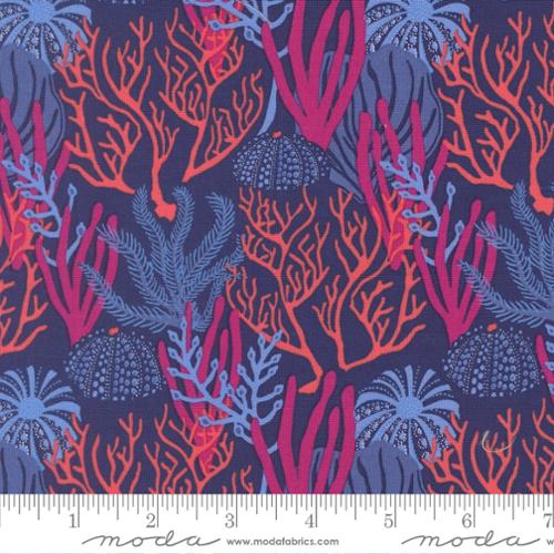 Reef Coral Reef Dusk - 27341 28
