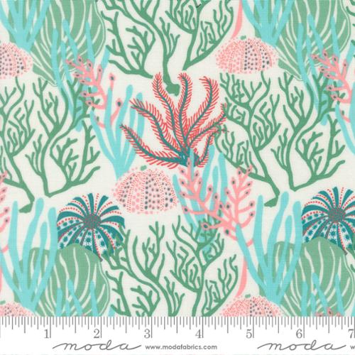 Reef Coral Reef Seaweed - 27341 41