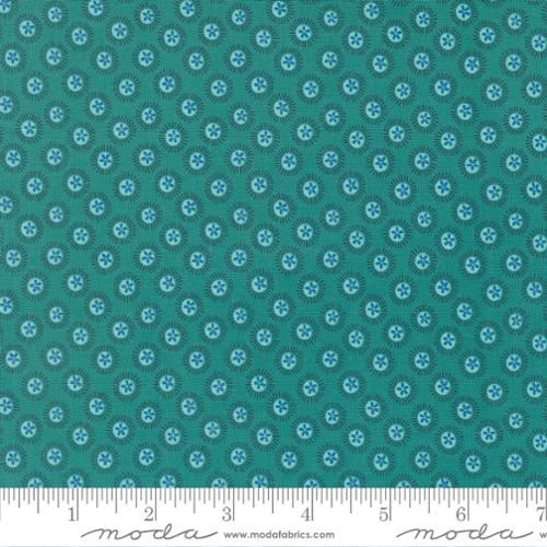 Reef Sand Dollar Horizon - 27348 22