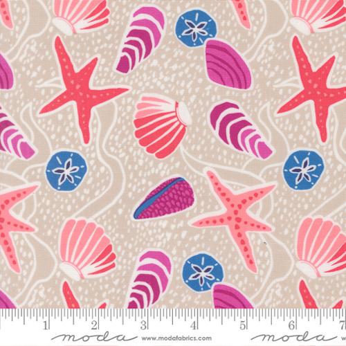 Reef Sea Shells Sand - 27340 12