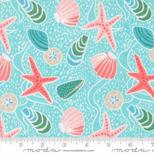 Reef Sea Shells Surf - 27340 24