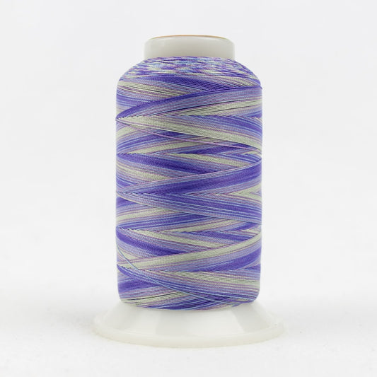 SCM12 - VIOLETS/BLUES - SILCO - 35WT - COTTON - WONDERFIL