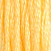19 - SOFT PEACH- DMC STRANDED EMBROIDERY THREAD