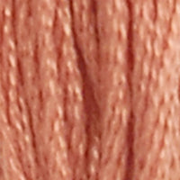 21 - PROSCIUTTO - DMC STRANDED EMBROIDERY THREAD