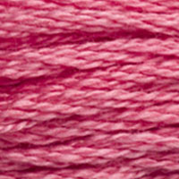 961 - ROSE GARDEN - DMC STRANDED EMBROIDERY THREAD