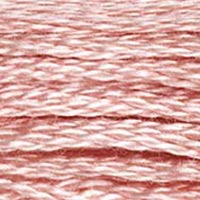 224 - EARTHWORM - DMC STRANDED EMBROIDERY THREAD