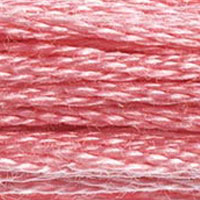 899 - WATERMELON - DMC STRANDED EMBROIDERY THREAD