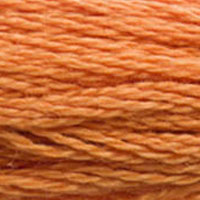3853 - COPPER - DMC STRANDED EMBROIDERY THREAD
