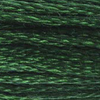 895 - BOTTLE GREEN - DMC STRANDED EMBROIDERY THREAD