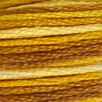 111 - BURNT SAVANNAH OMBRE -DMC STRANDED EMBROIDERY THREAD
