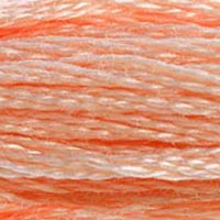 353 - BALLET SLIPPERS - DMC STRANDED EMBROIDERY THREAD