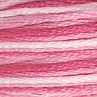 48 - INDIAN ROSE OMBRE - DMC STRANDED EMBROIDERY THREAD