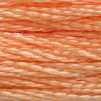 3825 - MUTED APRICOT - DMC STRANDED EMBROIDERY THREAD