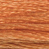 721 - PAPAYA - DMC STRANDED EMBROIDERY THREAD