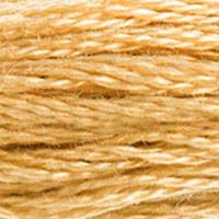 422 - LIGHT OAK - DMC STRANDED EMBROIDERY THREAD